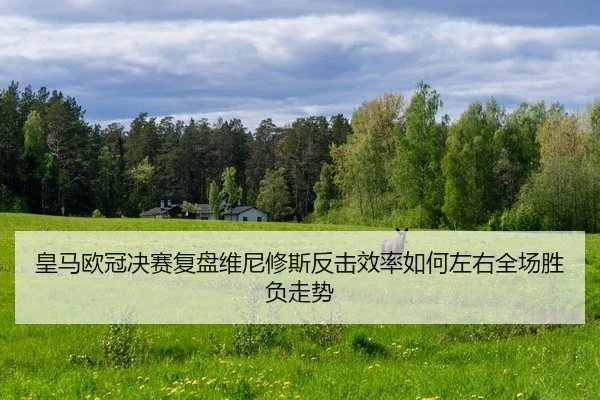 皇马欧冠决赛复盘维尼修斯反击效率如何左右全场胜负走势