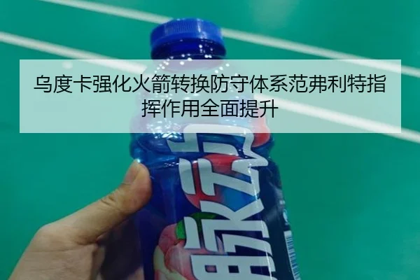 乌度卡强化火箭转换防守体系范弗利特指挥作用全面提升